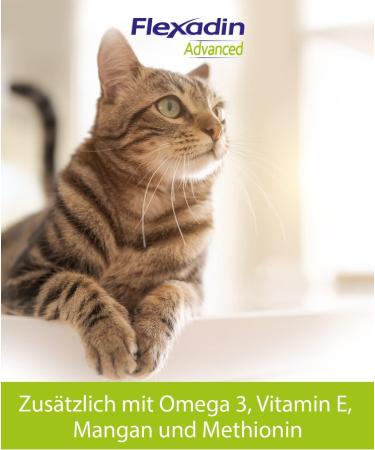 Flexadin Advanced Cat - Joint Health Supplement with UC-II Collagen | 60 Gelatin Capsules for Cats - Buy Online on GoSupps.com