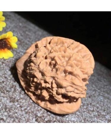 Dixinla Baoding Fitness Ball Walnut Fitness Ball Senior Health Fitness Handball to Send The Elderly Gift Chinese Ball - Buy Online on GoSupps.com