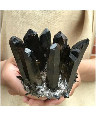 Natural Black Smokey Quartz Crystal Cluster Specimen Suitable for Home HOMEZHOU (Size : 800-900g) - Buy Online on GoSupps.com