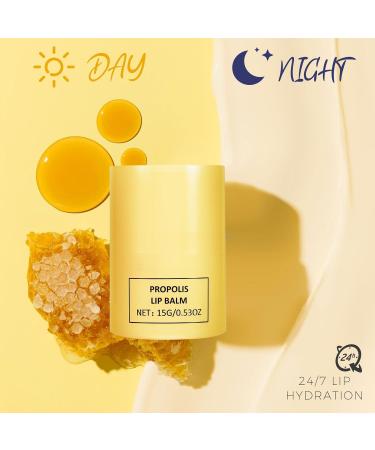 15ml Honey Lip Butter Hydrating Overnight Lip Balm & Mask Propolis 12hrs Long-lasting Moisture Overnight Gentle Exfoliation Hygienic Twist Dispenser(0.5 fl.oz) - Buy Online on GoSupps.com