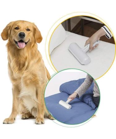Efficient Roller Pet Hair Remover - Reusable Lint Roller for Cats & Dogs | Multi-Surface Fur Cleaner for Furniture Couch Carpet & Clothing - Portable & Eco-Friendly - Buy Online on GoSupps.com