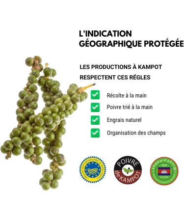 Spicy Ways - White Kampot Pepper - 100 g Kraft Zip Bag - Pepper Grain Cambodian Pepper - Buy Online on GoSupps.com