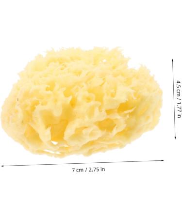 PLAFOPE Moisturizer Sponge for Body Shower Bath for Shower Body Natural for Bathing Sponge Bath Natural for Body Bath Sponge for - Buy Online on GoSupps.com