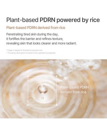 mixsoon White Rice Peeling Ampoule - White rice exfoliant Gentle Exfoliating Serum for Smooth Radiant Skin Dead Skin Cells Remover 100ml / 3.38 fl.oz. Korean Glass Skin Care White Rice 3.38 Fl Oz (Pack of 1) - Buy Online on GoSupps.com