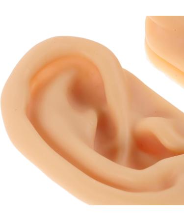 IDEANATEGRATE 1 Pair Ear Acupuncture Point Teaching Model - Silicone Fake Ear for Massage Assistance - Realistic Display Decor for Jewelry Piercing Practice - Buy Online on GoSupps.com