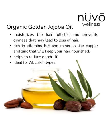 Organic Rosemary Oil for Hair Growth | Moroccan & Jojoba Oil Blend | Moisturizes Split Ends & Dry Scalp | 30ml - Product of Canada - Buy Online on GoSupps.com