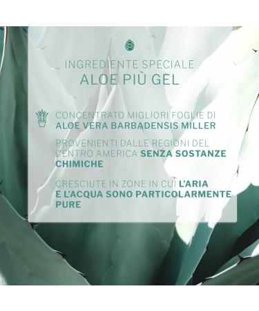  PromoPharma ALOE PLUS ANTIOX FORMULA 100% PURE ALOE VERA GEL REAR WITH MIRTILLE AND MELOGRANO - ALOE VERA SUQUE DEPURATING AND DEGESTIVE BEVANDA WITH ALOE VERA IN POUCH PRACTICES - Buy Online on GoSupps.com