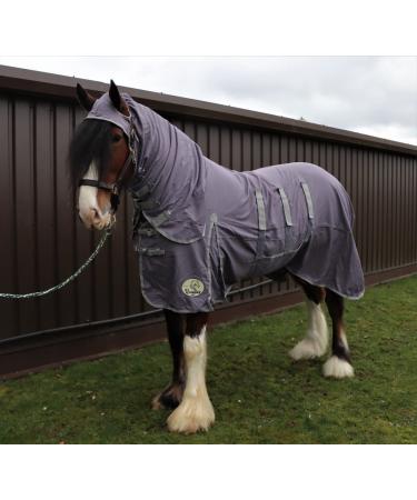 Ruggles UV Combo Fly Rug for Heavy Horses | Ideal for Warmer Summer Months | For Clydesdale Shire Percheron etc (6' 6" Shark Grey) 6' 6" Shark Grey - Buy Online on GoSupps.com