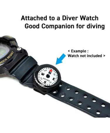 POLARIS Micro Wrist Compass Waterproof 60M Underwater Diving Watch Band or Paracord Bracelet Compasses Luminous in The Dark  - Buy Online on GoSupps.com