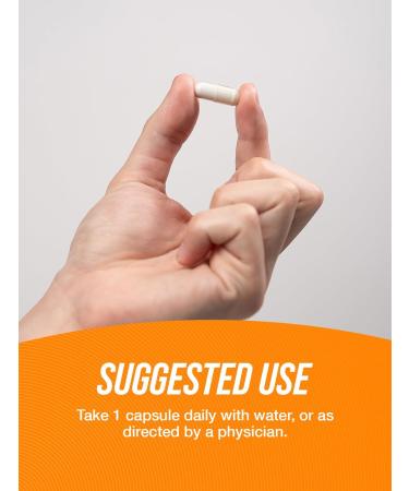 BulkSupplements Caffeine 100mg Capsules - Energy Support Supplements 500 Count Caffeine Pills for Boosted Focus & Stamina - Buy Online on GoSupps.com