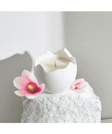 Egg Shaped Aromatherapy Candle - Essential Oil Gift Box for Easter Birthdays and More - Buy Online on GoSupps.com