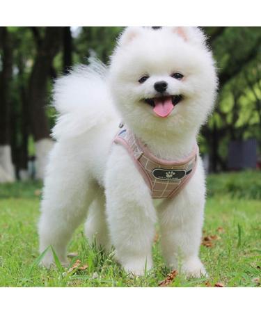 FEimaX Cat Harness and Leash Set - Escape Proof Soft Mesh Adjustable Vest for Small Dogs Cats - Light Pink XS - Buy Online on GoSupps.com