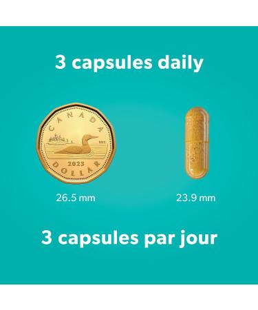 WomenSense EstroSense Bonus Size - 150 VCaps Estrogen Balancing Indole-3-Carbinol Calcium-D-Glucarate Turmeric Milk Thistle 30 bonus caps 50 day supply Hormone Balancing - Buy Online on GoSupps.com