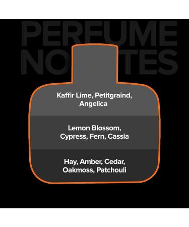 Bloom Beauty Villain On The Rocks Eau de Parfum for Men | Woody & Citrus Long Lasting Fragrance - 100ml - Buy Online on GoSupps.com