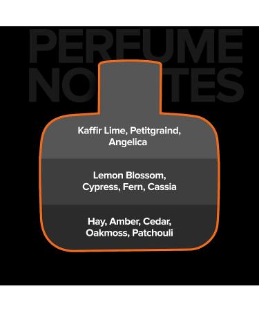 Villain On The Rocks Eau de Parfum for Men | Woody & Citrus Long Lasting Fragrance - 100ml - Buy Online on GoSupps.com