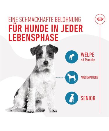 Royal Canin Training Treats | Double Pack | 2 x 110 g | Snacks for Dogs of All Sizes & Breeds | In Practical Resealable Bag | From 6 Months of Life | With Poultry - Buy Online on GoSupps.com