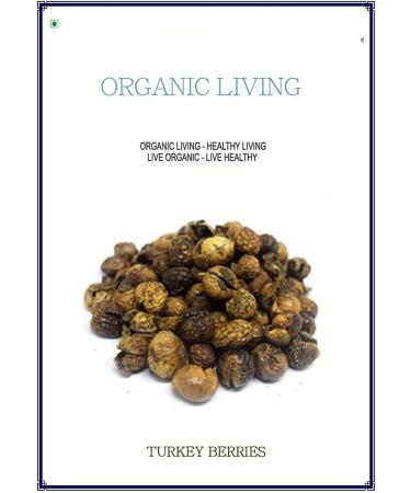 Hyd D.ried Turkey Berries Sundanese Vathal 500 g