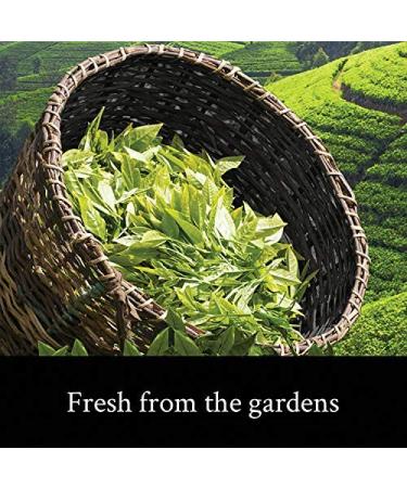 Teamonk Tapas Organic Darjeeling Oolong Tea Loose Leaf (5.3 oz) - 75 Cups, Fat Burn & Metabolism Boost - USDA Certified - 5.2 oz (Pack of 1) - Buy Online on GoSupps.com