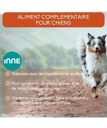 NUTRIVET - Complementary Food for Dogs - Power Dog - 1.5 Kg Jar - Buy Online on GoSupps.com