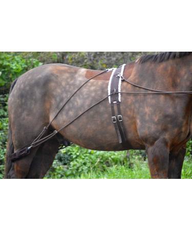 Aces Equine HORSE LUNGING TRAINING AID PESSOA STYLE WITH BODY ROLLER ONE SIZE BLACK AND BROWN - Buy Online on GoSupps.com