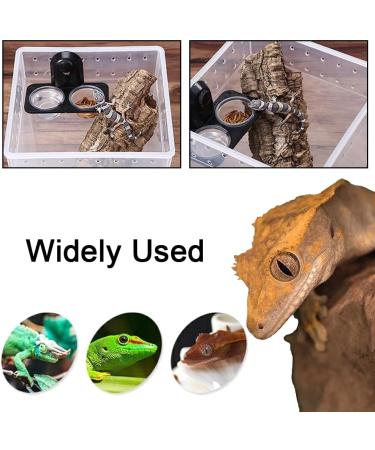 LUXIAOBAO Reptile Water Food Bowl Gecko Feeder Ledge-Small Gecko Food Cup for Reptiles Food and Water Feeding (Screw type) - Buy Online on GoSupps.com