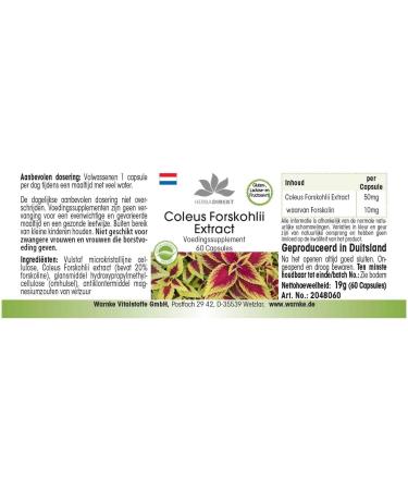 Forskolin - with 50mg of Coleus Forksholi Extract - 60 Capsules | herba direkt - Quality from German Pharmacies - Buy Online on GoSupps.com