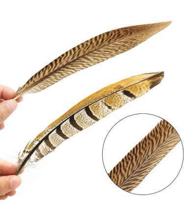 Flying Feathers Natural Pheasant Feathers 4 Style 15-20cm 12pcs for DIY Craft and Party Decor FF03 - Buy Online on GoSupps.com