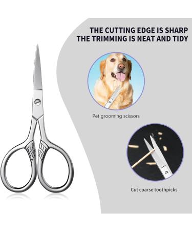 Small Nose Hair Scissors | MINI Stainless Steel Beauty Scissors for Eyebrows Beard Ear & Moustache Trimming - QUIUMES - Buy Online on GoSupps.com