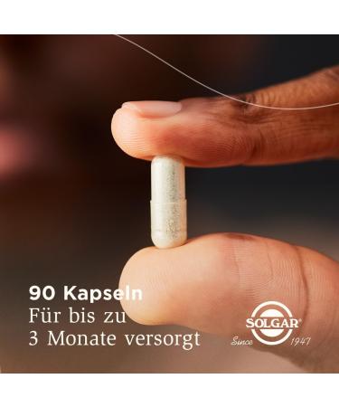 Solgar Iron 20 mg - Stomach-Friendly Iron Bisglycinate | 90 Vegan Capsules | 3-Month Supply | International Shipping - Buy Online on GoSupps.com