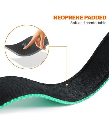 Taglory XL Dog Collar - Soft Padded Neoprene Nylon Adjustable & Reflective Perfect for Training - Turquoise (1-Pack) - Buy Online on GoSupps.com