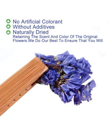 Buy Forget-Me-Not Flower Tea | Dried Myosotis Sylvatica | Herbal Health & Skin Care | 30g | International Shipping - Buy Online on GoSupps.com