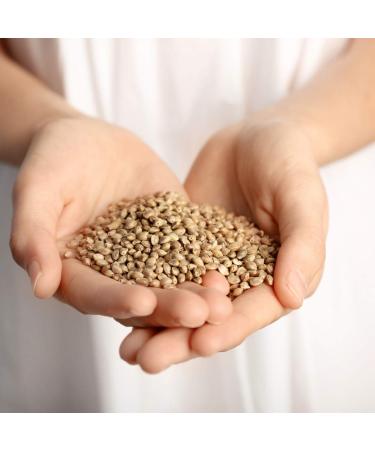 Civilized Coffee Hemp Seeds Whole Superfood for Snacking & Baking Gluten-Free  Jar (9 oz) 9 Ounce (Pack of 1) - Buy Online on GoSupps.com