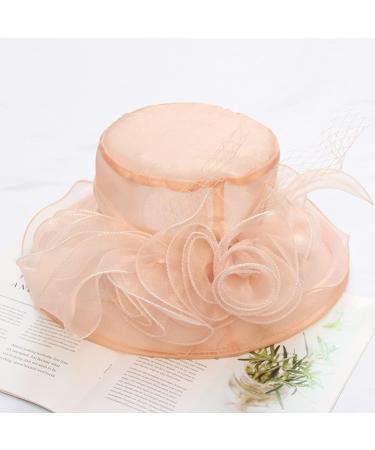 RZTA Women's Kentucky Derby Church Dress Hat - Wide Brim Leaf Flower Bridal Shower Hat in Light Pink - Buy Online on GoSupps.com