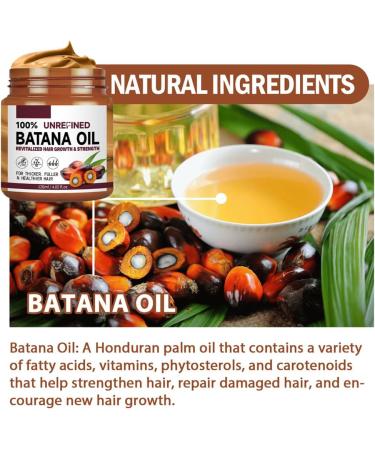  HADAVAKA Conditioner Smooths and Nourishes For Frizzy and Straight Hair Repairs Hair Roots Makes Hair Smooth Thick and Fluffy For Damaged and Fragile Hair 120ml (3PCS) - Buy Online on GoSupps.com