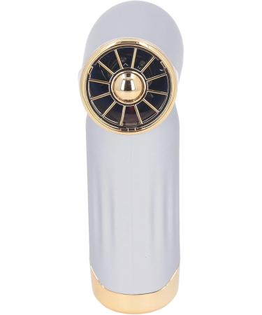 Dust Blower High Speed Bladeless Hair Dryer Easy to Carry 4 Wind Levels for Camping for Home for Cats Dogs (Silver) - Buy Online on GoSupps.com
