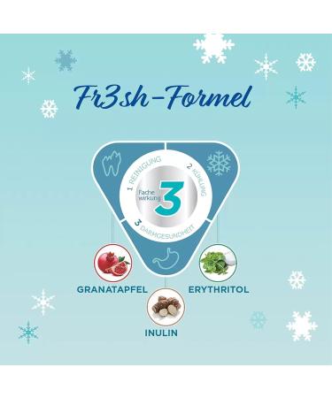 Virbac VeggieDent 15 Sticks XS 5 kg | 120 g | Chew Sticks for Small Dogs up to 5 kg | Vegetarian Chewable Snack to Control Plaque and Tartar - Buy Online on GoSupps.com