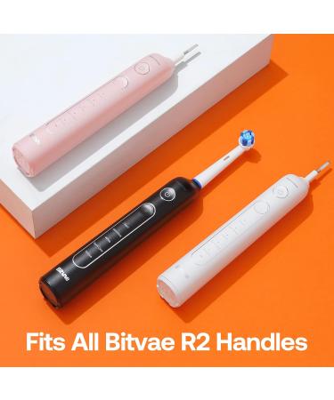 Bitvae R2 Ultimate Clean Replacement Toothbrush Heads - 5 Count - Buy Online on GoSupps.com