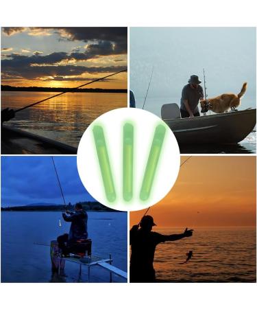 30 LED Night Light Fishing Sticks - Bright Fishing Alarm Bells & Rod Tip Lights | Premium Fishing Equipment Accessories - Buy Online on GoSupps.com