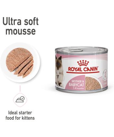 Royal Canin Mother & Babycat Mousse | 12 x 195 g | Complete Food for Cats | Especially for the Mother Cat and Her Puppies | To Support the Body's Defense - Buy Online on GoSupps.com