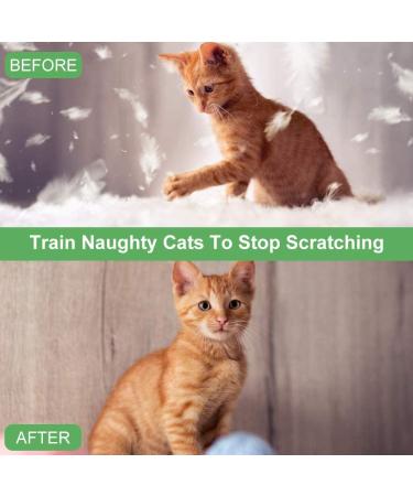 Segminismart Cat & Dog Defense Spray - 120ml Anti-Scratch Spray for Furniture Protection | Scratch-Resistant Solution for Home & Outdoors | 2024 New Arrival - Buy Online on GoSupps.com