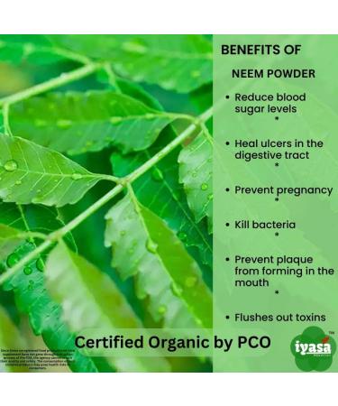 Iyasa Holistics USDA Organic Neem Leaf Super Greens Powder - 8 oz/ 226g - Purify Blood & Liver, Support Healthy Hair & Skin - Resealable Bag - Pack of 1 - Buy Online on GoSupps.com