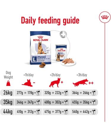 Royal Canin Dog Food Maxi Adults 5+ 4kg - Buy Online on GoSupps.com