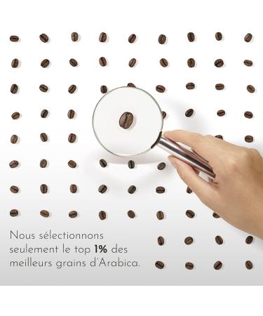 illy Caf en Grains Arabica Selection Guatemala 100% Arabica avec des Notes de Chocolat Go t Amer et Intense Paquet de 6 Bo tes (6 x 250g) - Buy Online on GoSupps.com