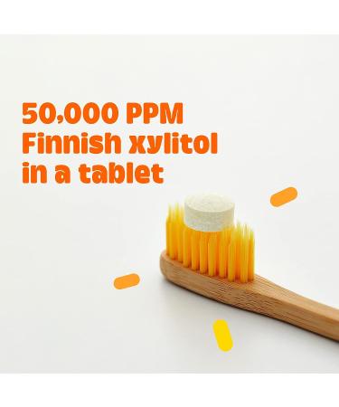 Dr. NOAH O-Bits Xylitol Toothpaste Tablets with Fluoride | Citrus Yuja Mint Flavor | 30 Tabs | Eco-Friendly Zero Waste Toothpaste for Travel, Camping & Fishing - Buy Online on GoSupps.com