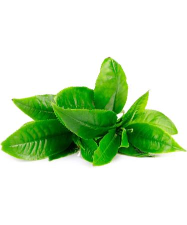 Buy Green Tea Capsules 400 mg - 60 Count | 50% Polyphenols - International Shipping Available - Buy Online on GoSupps.com