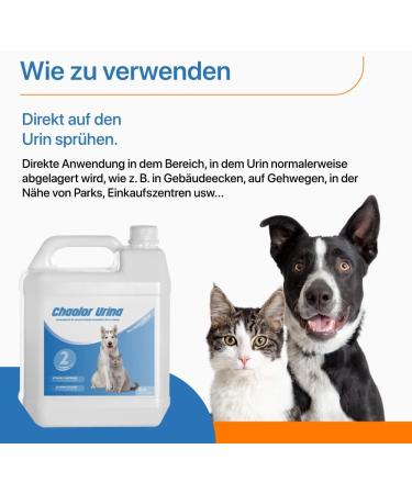 RC Ocio Enzymatic Cleaning Agent - Ultimate Dog & Cat Urine Smell Remover | 5L Odor Neutralizer for Fabrics Furniture & Carpets - Buy Online on GoSupps.com