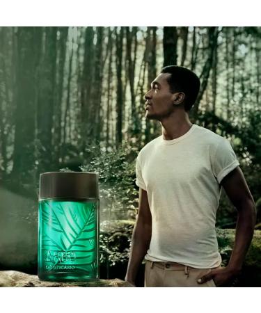 O BOTICARIO - Linha Arbo (Intenso) - Colonia Masculina 100 Ml - (Tree (Intense) Collection - Eau de Toilette for Men 3.38 Fl Oz) - Buy Online on GoSupps.com