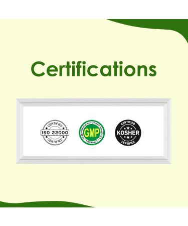 minature 100% Aloevera Powder (Aloe Barbadenis) 100g (3.5 oz)| Pure Aloe Vera Leaf Powder | DIY for Skin Health & Hair - Buy Online on GoSupps.com