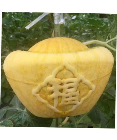 GANAZONO 4pcs Clear Fruit Mini Watermelon Plastic Fruit Square Mold Small Fruit Mold Ginseng Tool Pumpkin - Buy Online on GoSupps.com