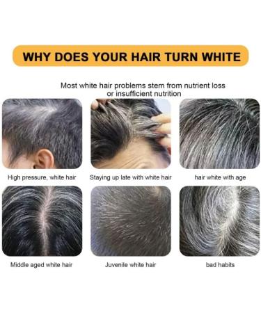 Mane Gray Reverse Bar Natural Hair Darkening Bar Spartan Gray Hair Reverse Bar Hair Darkening Shampoo Bar Mane Gray Hair Reverse Bar For Women And Men (1 Pcs) - Buy Online on GoSupps.com